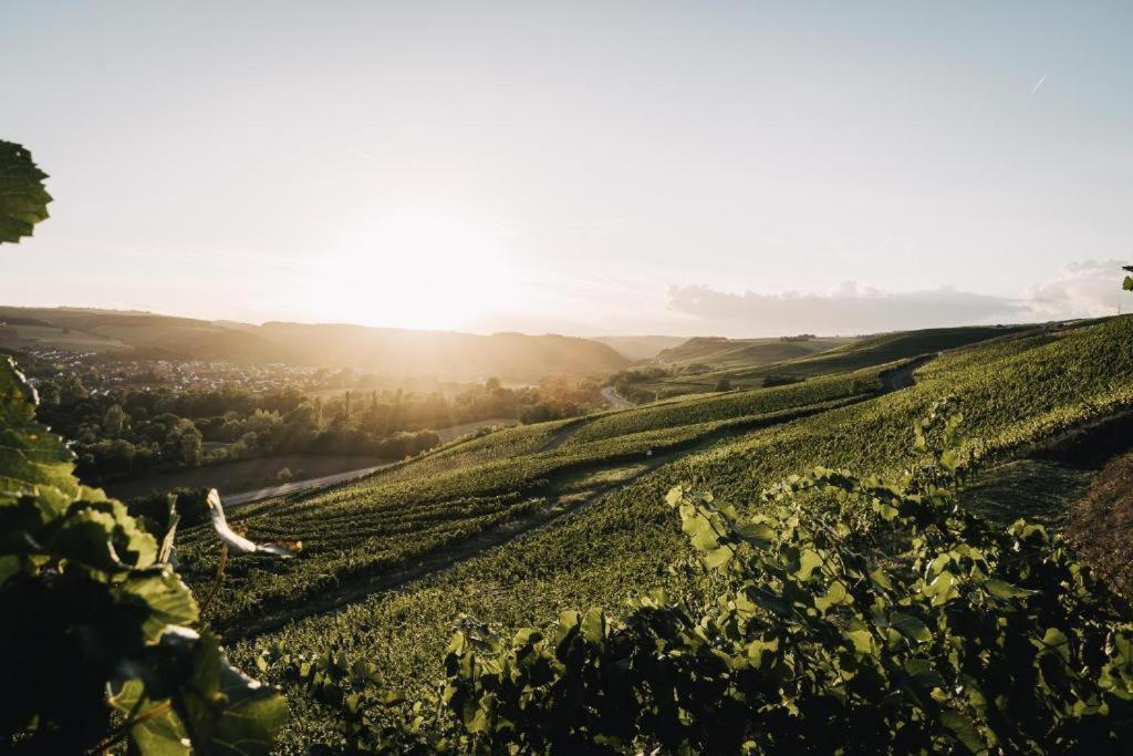 Weingut Und Gaestehaus Holger Alt Monzingen Kültér fotó