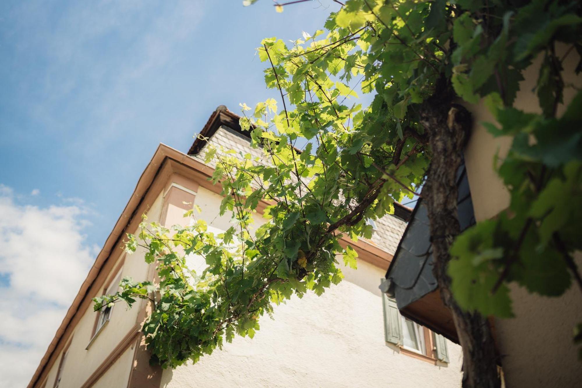 Weingut Und Gaestehaus Holger Alt Monzingen Kültér fotó